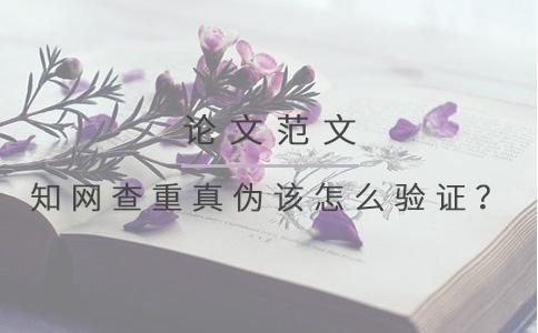 知網(wǎng)查重真?zhèn)卧撛趺打炞C