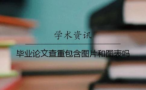 畢業(yè)論文查重包含圖片和圖表嗎