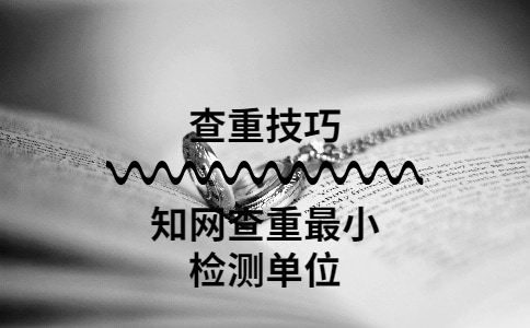 學術查重有最小檢測單位嗎？是句子嗎？