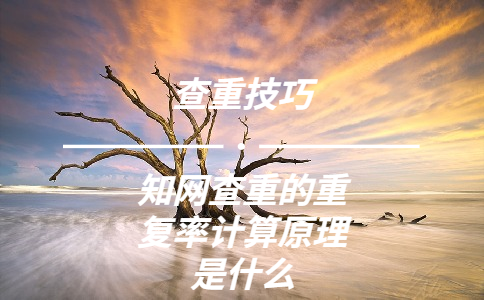知網(wǎng)查重的重復(fù)率計算原理是什么