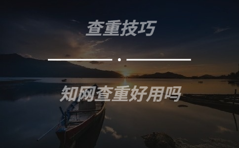 學(xué)術(shù)查重好用嗎