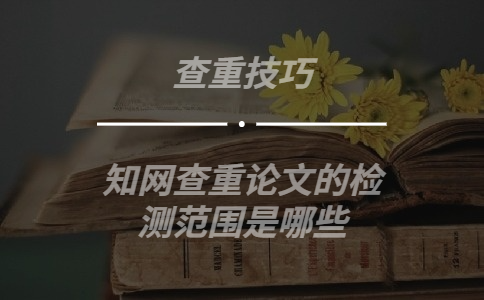 學術查重論文的檢測范圍是哪些