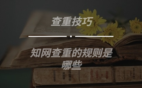 學術查重的規則是哪些