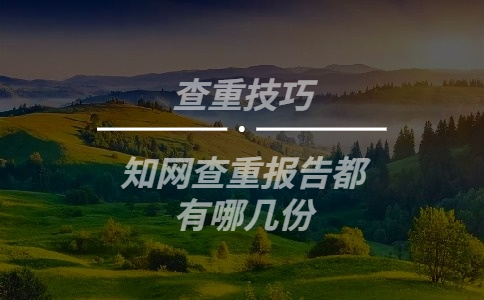 學術查重報告都有哪幾份