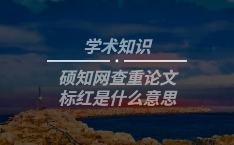 學術查重論文標紅是什么意思