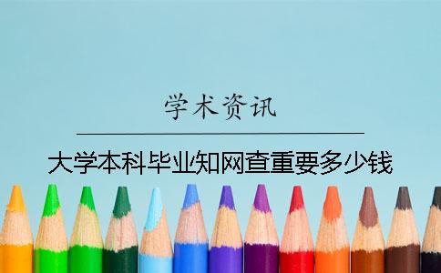 大學本科畢業學術查重要多少錢