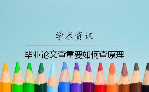 畢業論文查重要如何查原理