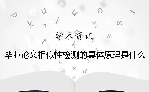畢業(yè)論文相似性檢測的具體原理是什么